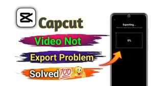 how to solve capcut not exporting problem